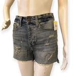 Treasure & Bond Foster Boyfriend High Rise  Denim Shorts Photo 4