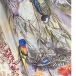 Zimmermann NWT  Botanical Book Silk Dress Size Au0 Photo 14