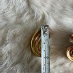 Conch Swirl Goldtone Pierced Earrings Gold Photo 5