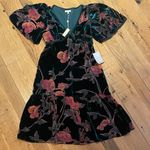 Max Studio  Velvet Burnout Woodland Fairy Babydoll Tiered Flutter Slv Green M Photo 0