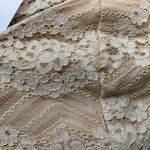 Topshop  Lace Long Sleeve Crop Top Photo 6