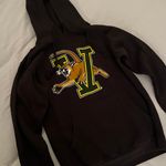 Ouray UVM Vermont Catamounts Icon Black Pullover Hoodie  Photo 0