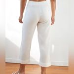 Aritzia NEW Wilfred linen blend Allant Pants Photo 3