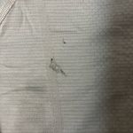 Lululemon 🍋🍋 short sleeve swiftly tech Photo 6