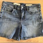 Pilcro and the Letterpress Anthropologie slim boyfriend shorts size 29 Photo 0