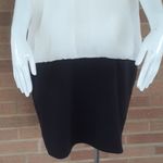 Apostrophe  Black & White Sleeveless Sheath Dress SIZE XL – Colorblock Office Photo 3