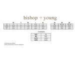 Bishop and Young NWT  Teal Lace Short Sleeve Top Size Medium Photo 5