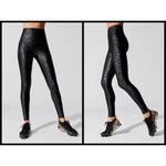 Carbon 38 π Leopard Takara Shine Bra & Leggings Set Photo 5