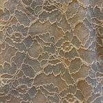 Bebe BRAND CREME LACE L/S TOP HAS BUILT IN LINING PRETTY AND VERSATILE MEDIUM Photo 9