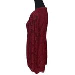 The Jetset Diaries #90  RUINS  Lace front Mini Dress Photo 3