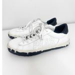 P448 C.S.L. Low Top Sneaker (Women) size 40 Photo 1