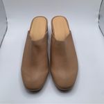 New Nisolo Women's All Photo 6