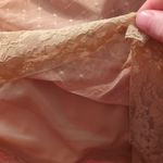 Rhonda Shear Ahh Beige Lace Shaping Cami Tank Size Small Petite Tan Photo 7