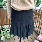 BCBGMAXAZRIA Ultra dressy high quality skirt πππ Photo 5