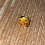 Avon Ladybug Pin Photo 0