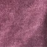 Loft Skinny Corduroy Pants High Waist Sz 25 Low Rise Syrah Wine Casual Preppy Photo 8