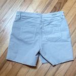 Carve Designs  Oahu Shorts 6 inch size 4 Photo 3