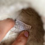 UGG  Fluff Yeah Slippers ivory cream – Size 11 Photo 7