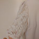 BlaShe Size Large L Cream Pink Lace 3/4 Sleeve Preppy Cute Chic Frilly Darling Photo 7