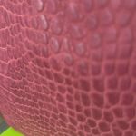 Alfani Crocodile Photo 5