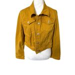 Pilcro ‎ ANTHROPOLOGIE Denim Jacket Classic Style Versatile Trendy MEDIUM Photo 2