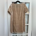 Anthropologie Floreat Gold Champagne Velvet Short Sleeve Dress Women’s Size S Photo 3