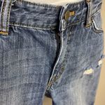 Label of Graded Goods L.O.G.G Blue Denim Distressed Shorts- Size 27 Photo 2