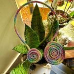 Amrita Singh Austrian Crystal Swirl Collar Necklace Photo 2