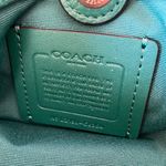 Coach Mini Lillie Carryall With Diary Embroidery C8364 Photo 8