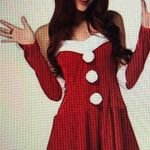 Mrs Claus Santa Costume Photo 0