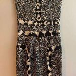 Diane Von Furstenberg 100% Silk Sleevless Animal Print Shift Dress Size 10 Photo 0