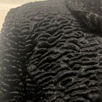 Pantology Black Persian Lamb Faux Fur Coat Jacket Photo 4