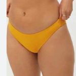 Everlane  The Bikini Bottom Photo 6