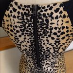 Buffalo David Bitton  Leopard Print dress Photo 8
