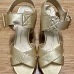 Circus by Sam Edelman Block Heel platform Sandal Photo 1