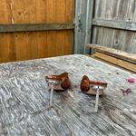 Azalea Wang Carmel Shoes size‎ 8 Brown Photo 3