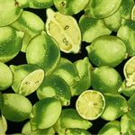 Handmade  Top Fruit Print Limes Sleeveless Darts‎ Zip-Back Retro Fit Green Zip-Up Photo 8