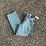 Abercrombie & Fitch Curve Love High Rise 90s Relaxed Jean in medium, sz 23 short Photo 4