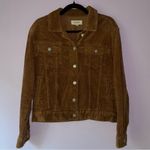 PacSun M Corduroy Jacket Brown Ribbed Button Collar Photo 0