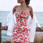 ZARA NWT Corset Rose Floral Mini Dress Photo 0