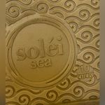 Solei Sea Women’s Indie Metallic Gold Flip Flop Sandals Size 10 Photo 9