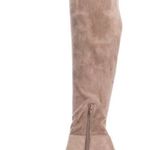 Taupe Thigh Highs Boots Photo 1