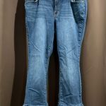 William Rast  Jeans, Ankle Skinny, Size 16W Photo 0