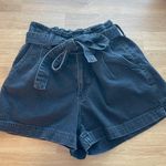 American Eagle Outfitters Paper Bag Shorts Photo 0
