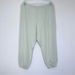 Madewell Petite Superbrushed Easygoing Sweatpants Light Green Loungewear PXXL Photo 5