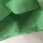 Brooks Brothers  Green Pencil Skirt with Flamingo Embroidery size 4 Photo 9