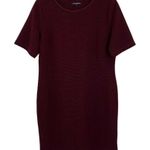 Mario Serrani Aubergine Micro Rib Knit Shift Dress Size Large Photo 0