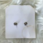 Earrings Dog Rainbow Pride LGBTQ Studs Posts Unisex New Photo 2