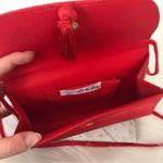 La Regale Vintage Red Satin Crossbody Tassel Bag Photo 9