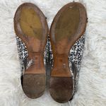 AGL Tweed Flats Black Size 6 Photo 4